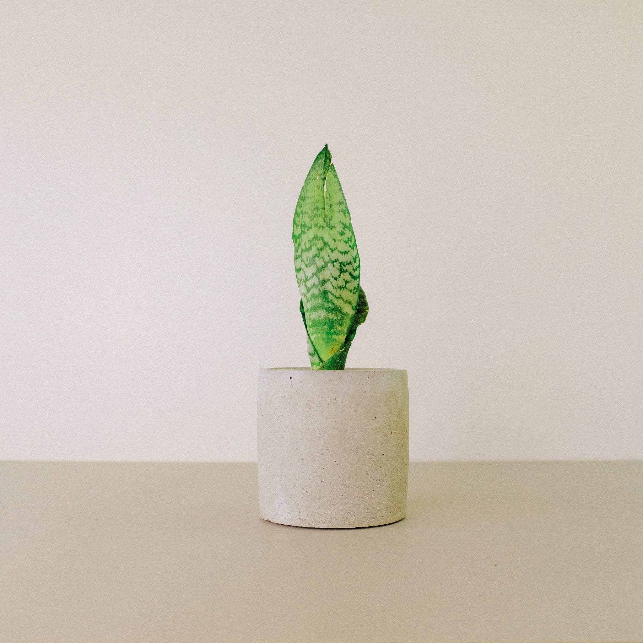 Small Round Planters